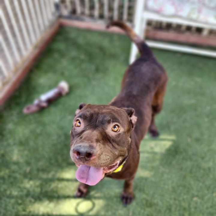 Journey (C000-631)- Chino Hills Location 6