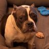 Darla Jean photo 3