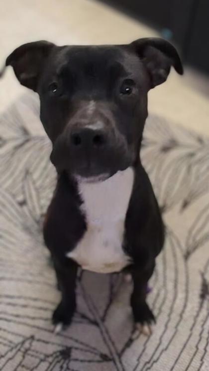 Cosmo