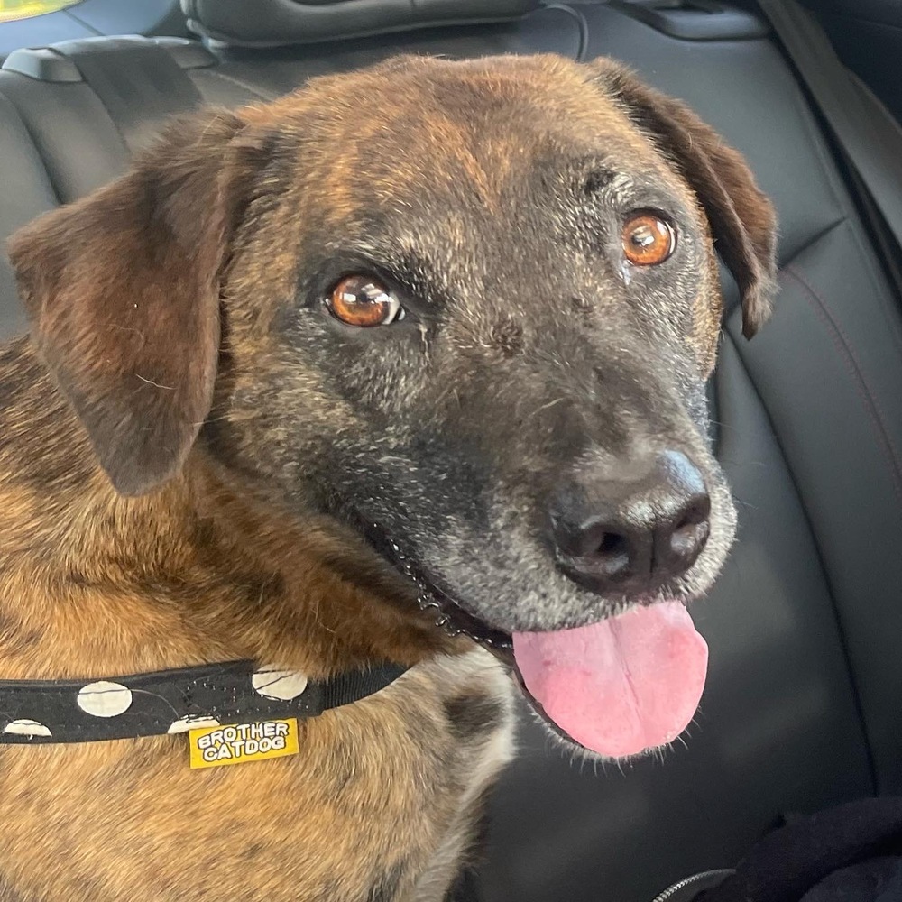 Layla - PLEASE READ ALL INFORMATION