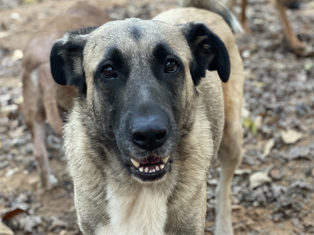 Theo - PLEASE READ ALL INFORMATION
