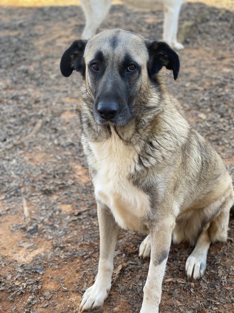 Theo - PLEASE READ ALL INFORMATION