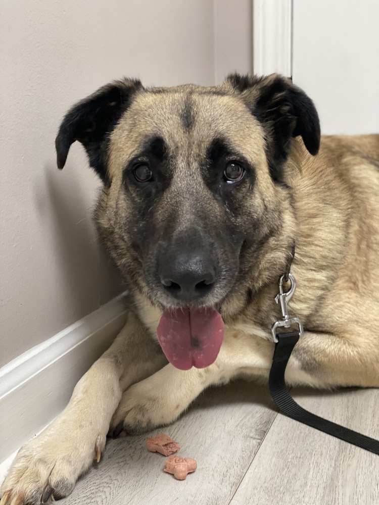 Theo - PLEASE READ ALL INFORMATION