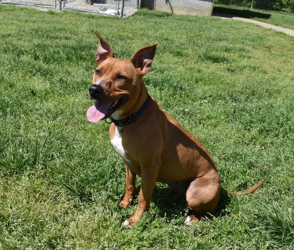 Ellie