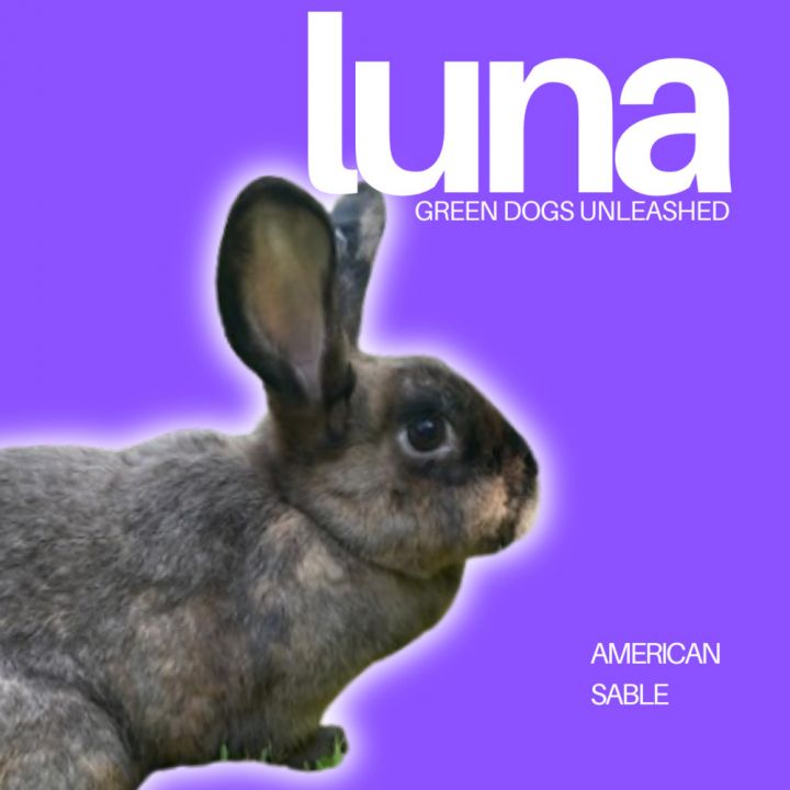 Luna 1