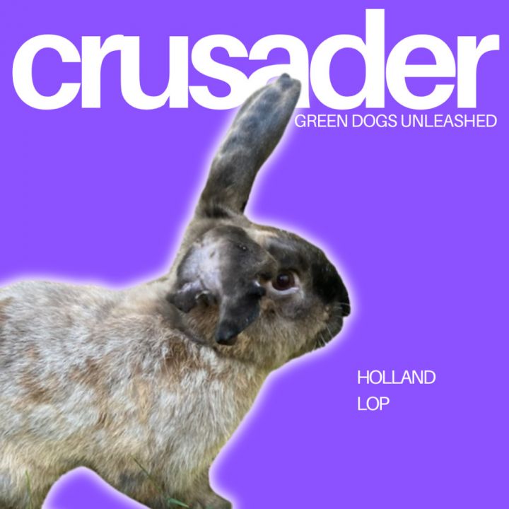 Crusader 1