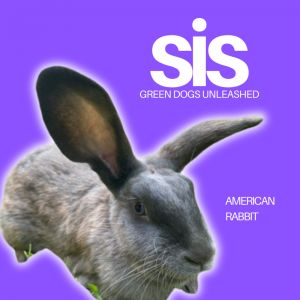 Sis
