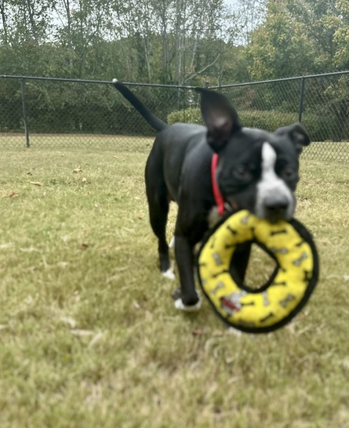 Lucky Boy 4