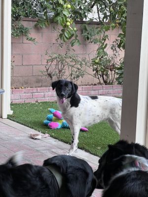 Benny