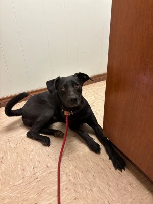 Max