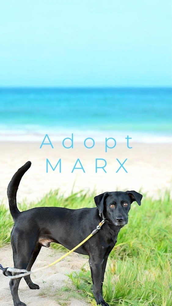 Max 6