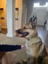 Bruno photo 6