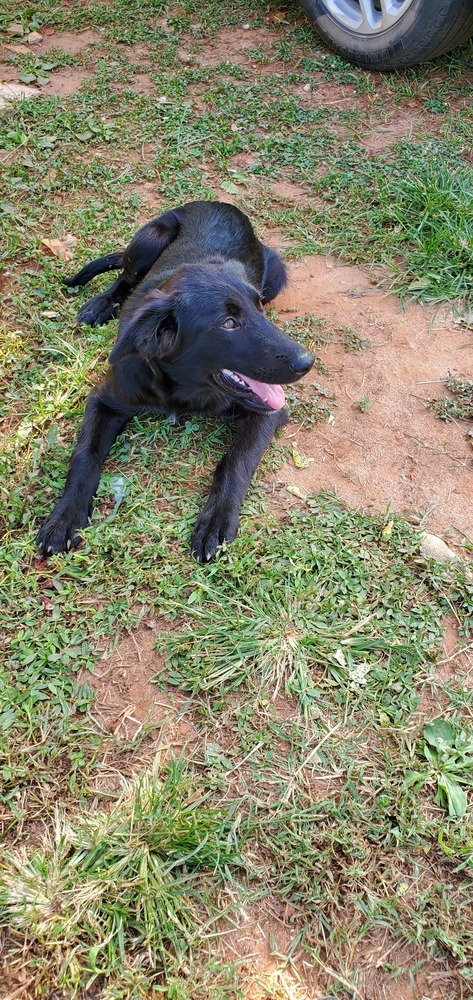 Luna