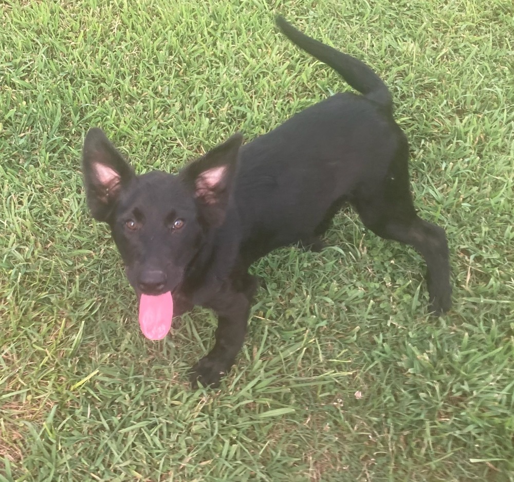 Luna