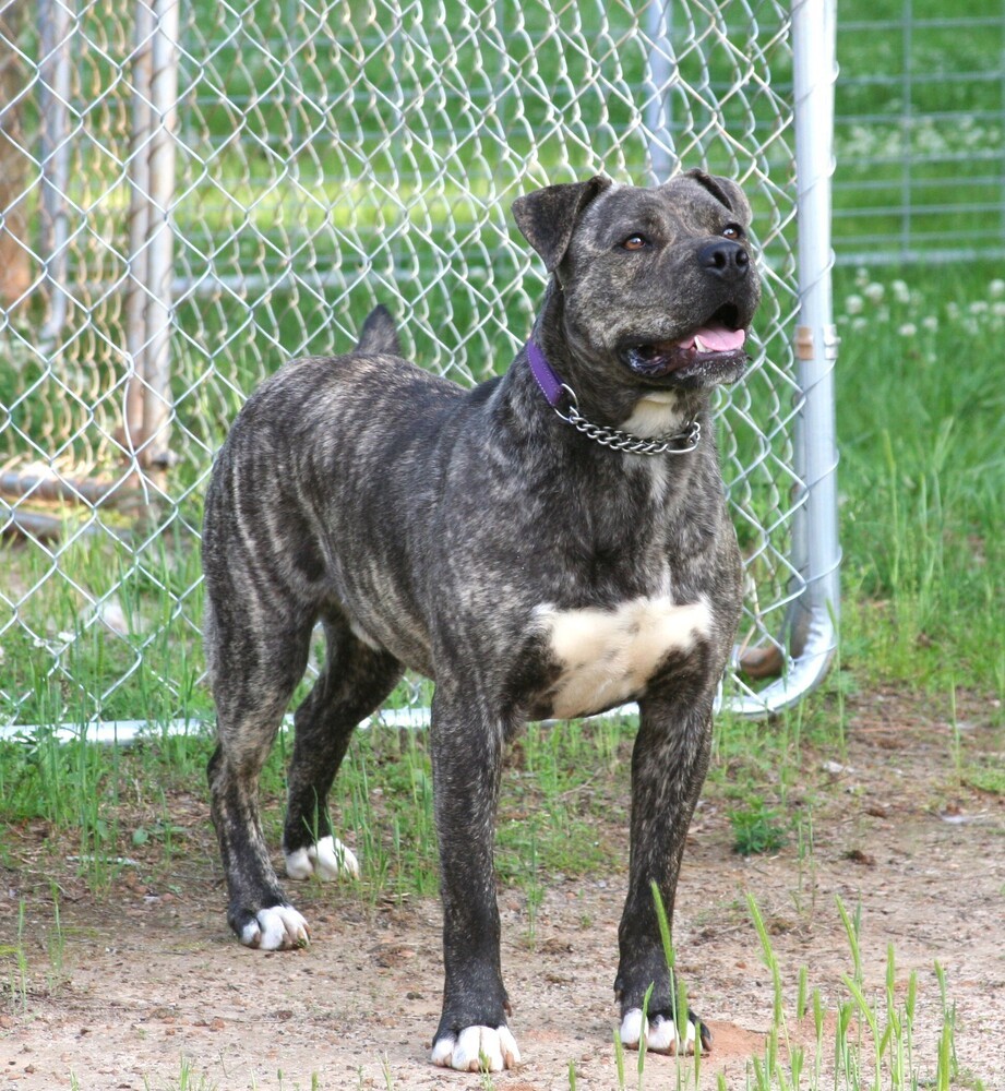 Starsky