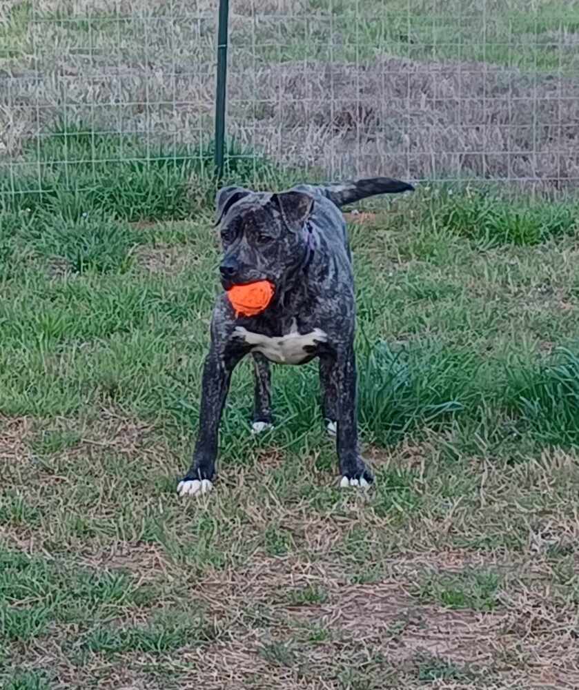 Starsky