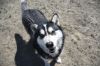 Nome photo 4
