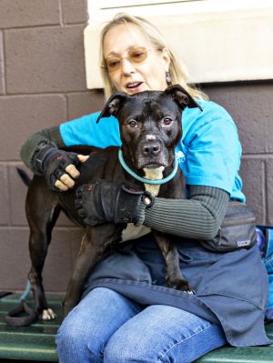 Foxy Roxy impresses everyone she meets with her sweet and affectionate personality and her overall c