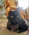 Nellie photo 2