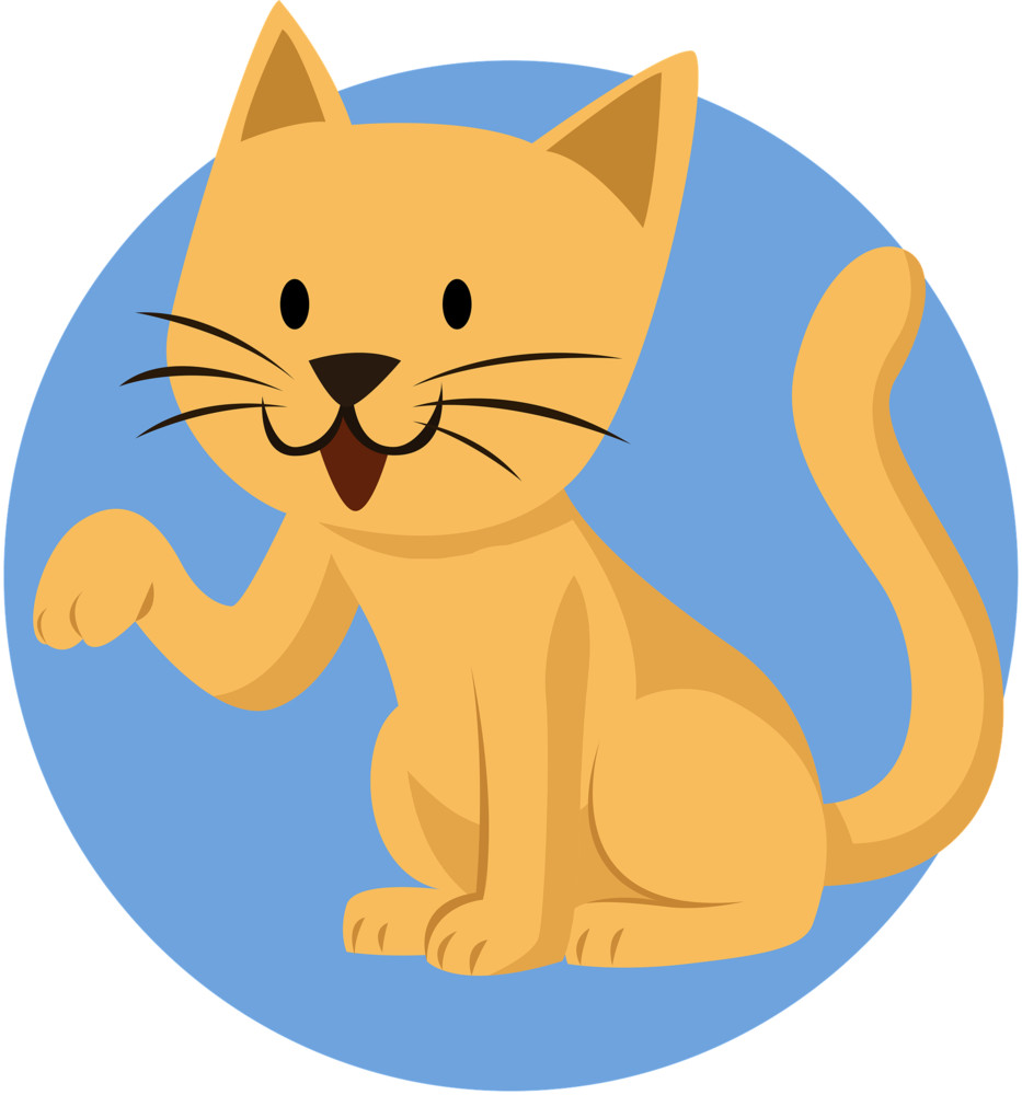 AA cat