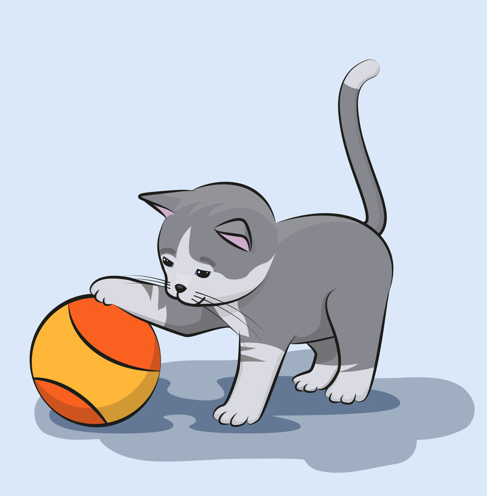 AA kitten