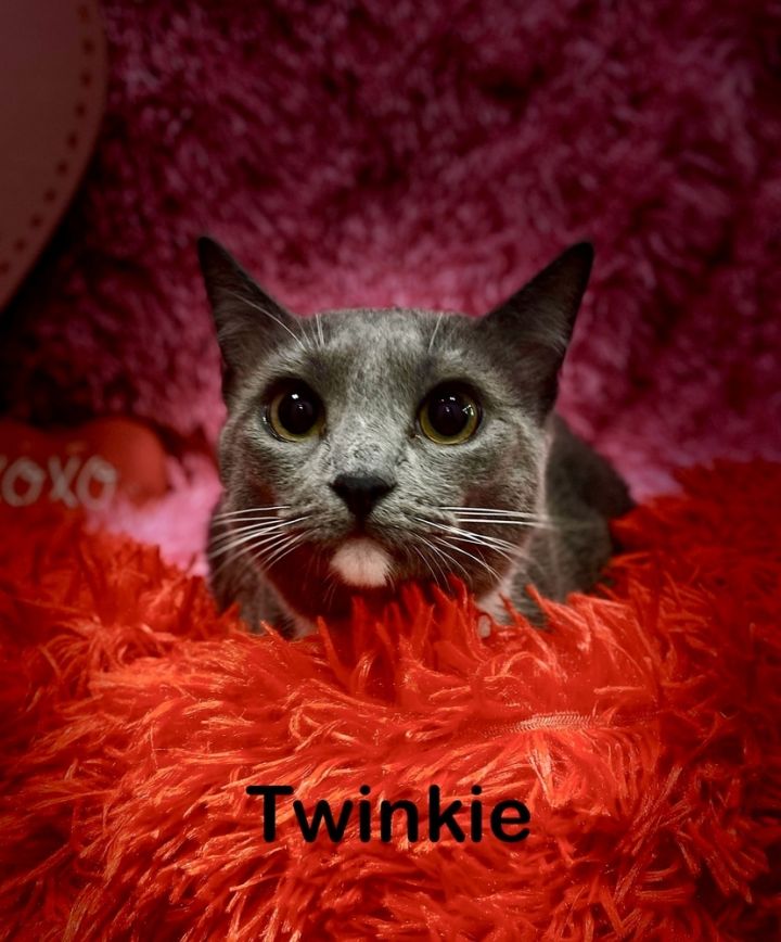 Twinkie 3