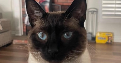 Zuko