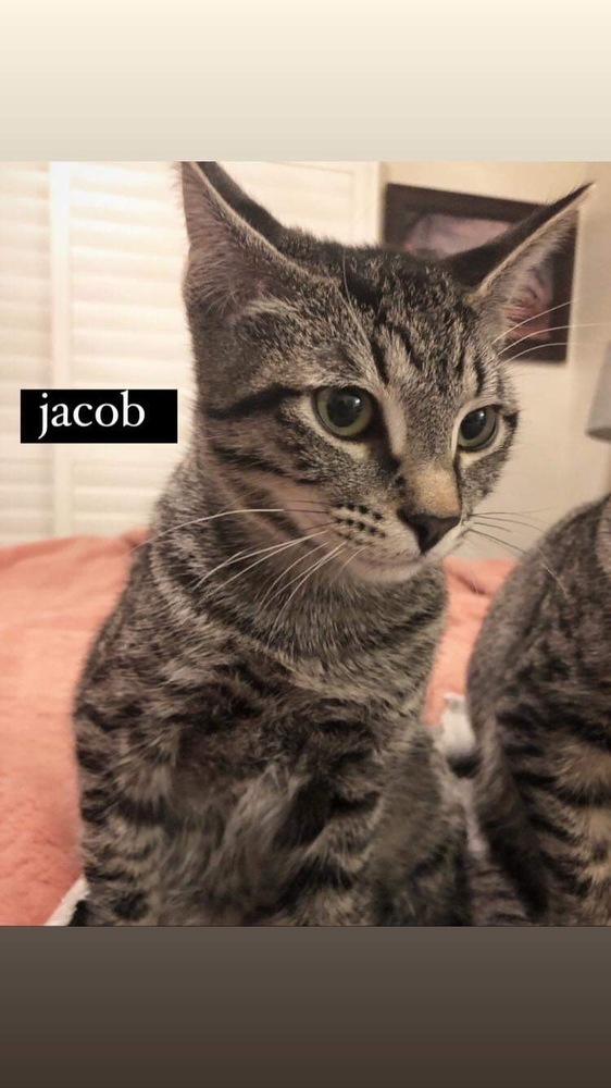 Jacob