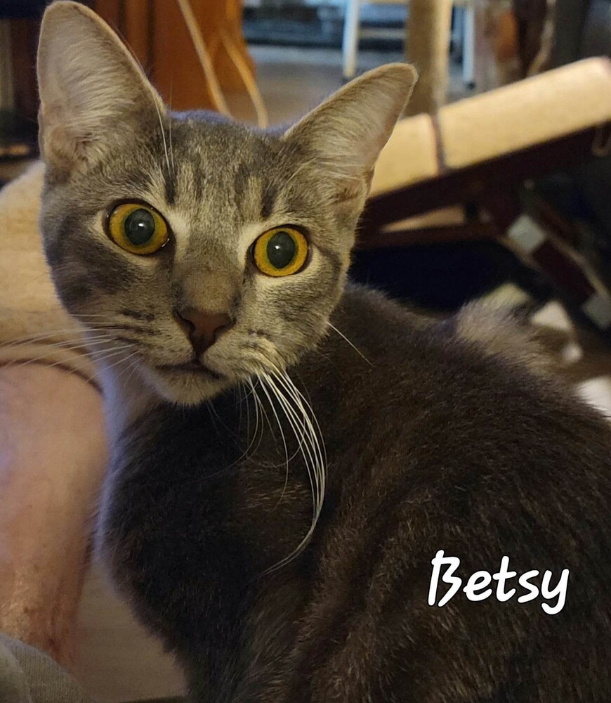 BETSY