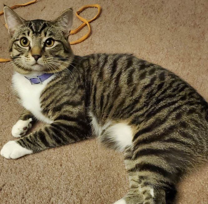 LOGAN