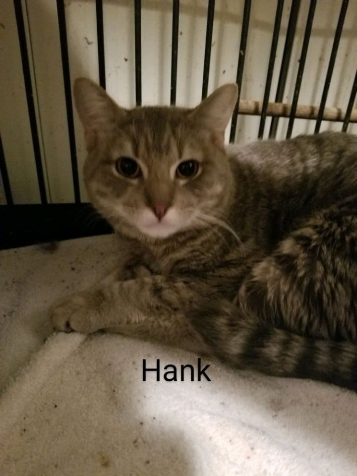 Hank 1