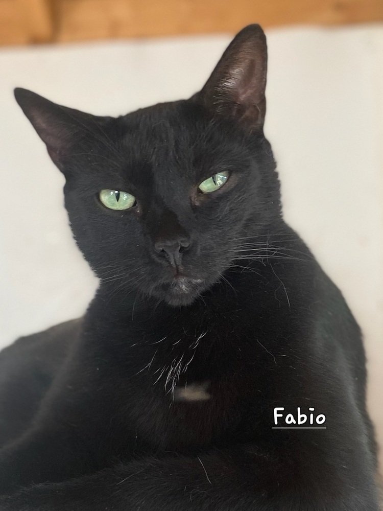 Fabio