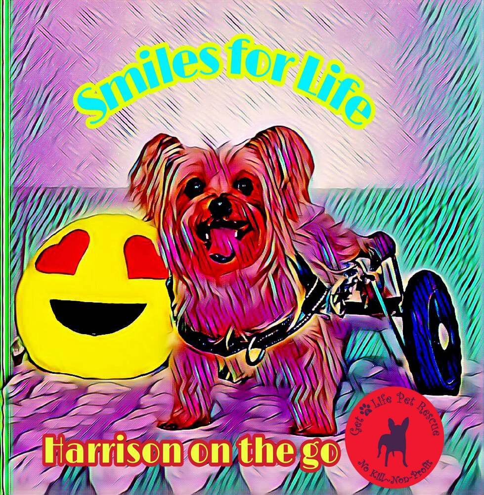 Harrison The Paralyzed Yorkie