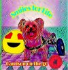 Harrison The Paralyzed Yorkie photo 2