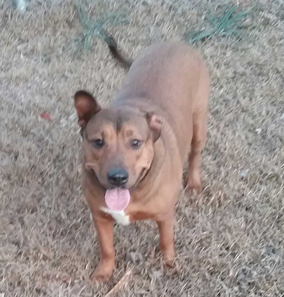 Annie