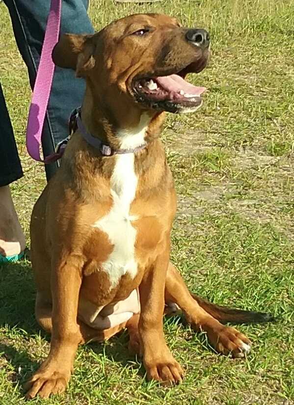 Annie
