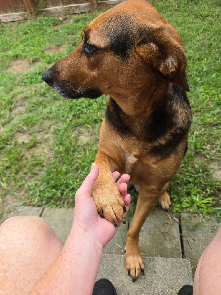 Remi