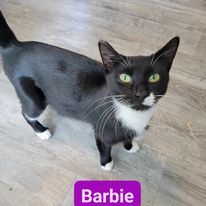 Barbie
