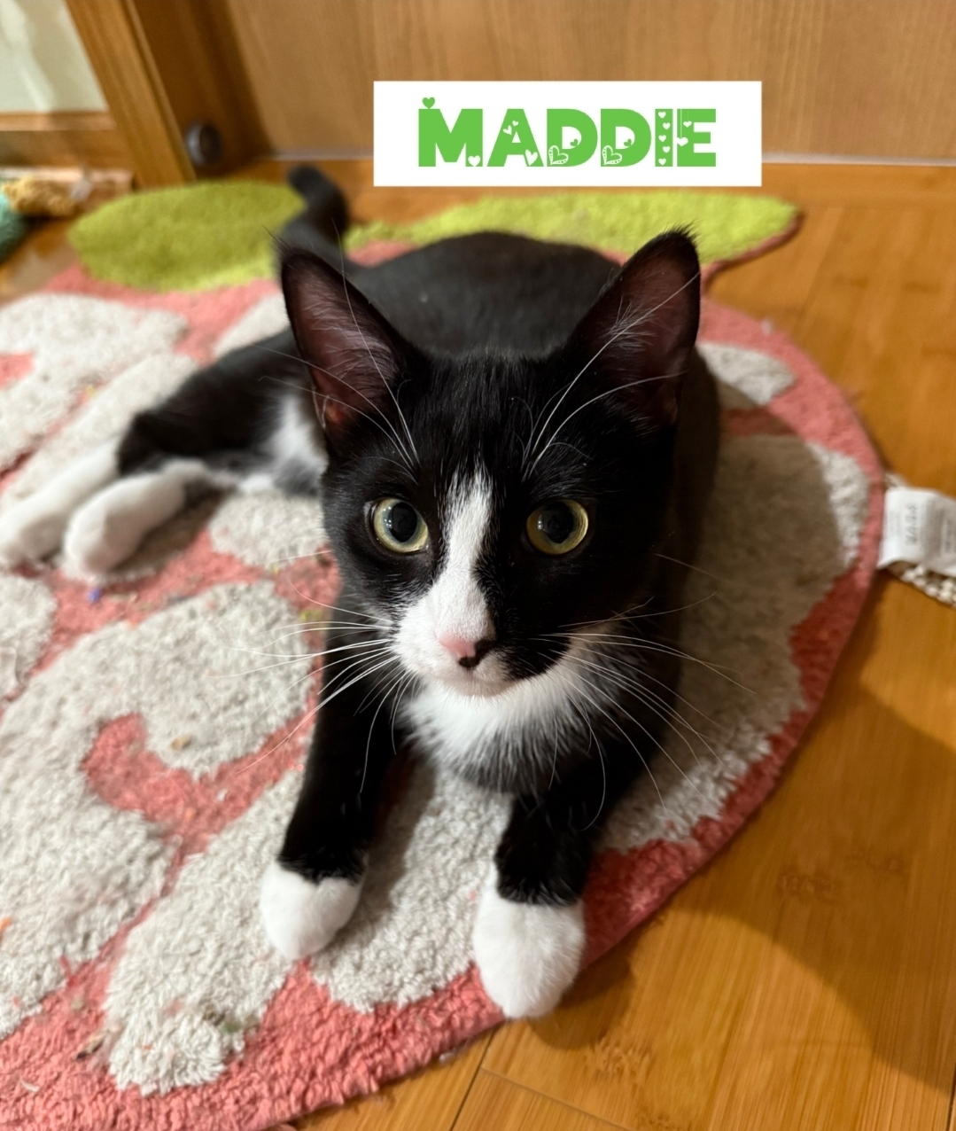 Maddie