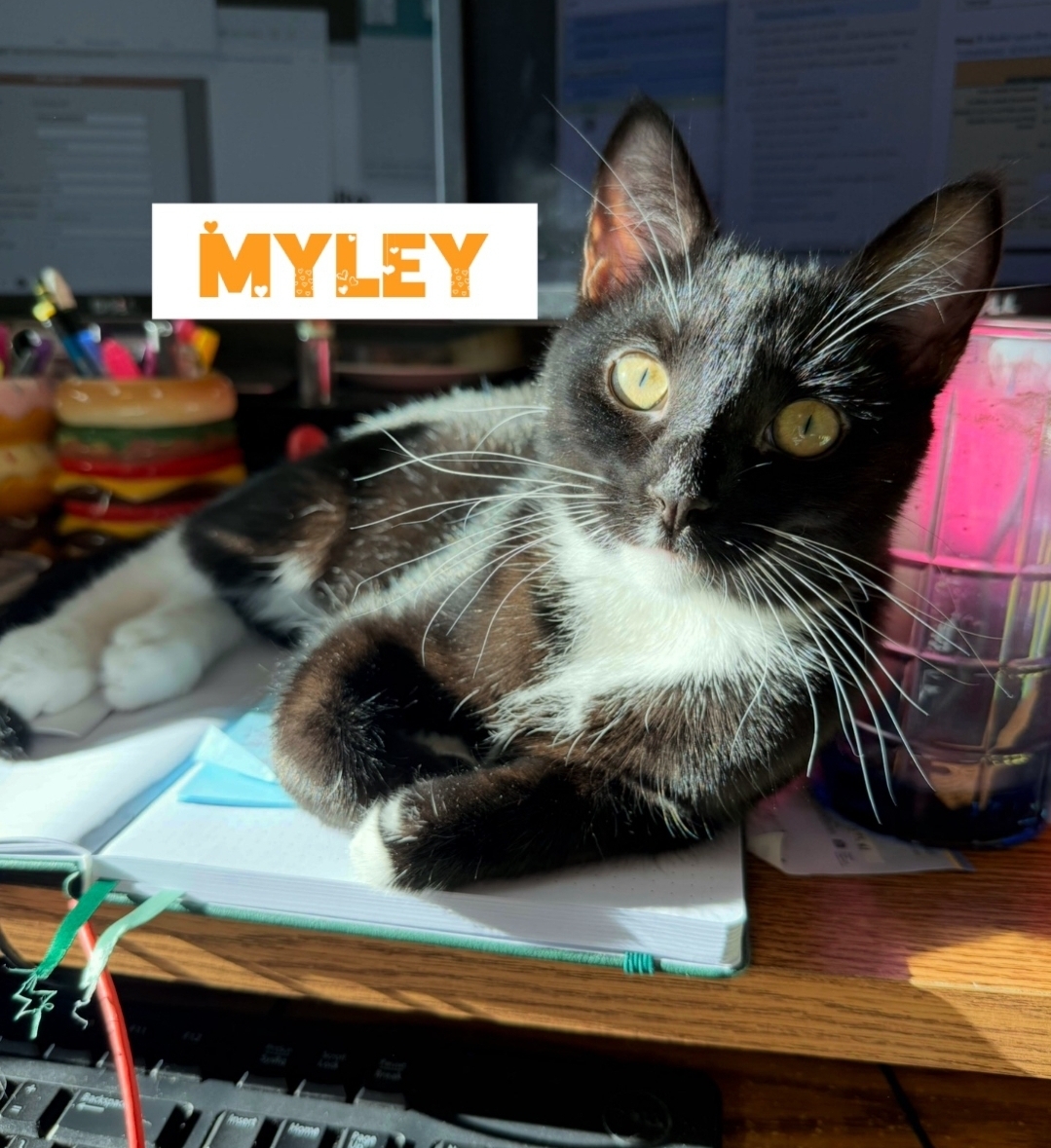 Myley