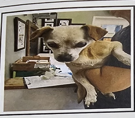 Marvyn, an adoptable Chihuahua in Herriman, UT, 84096 | Photo Image 2