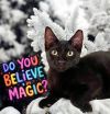 Magic photo 1