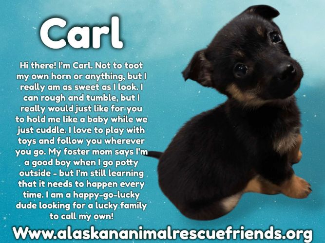 Carl