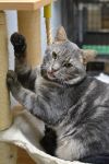 Alphonse photo 2