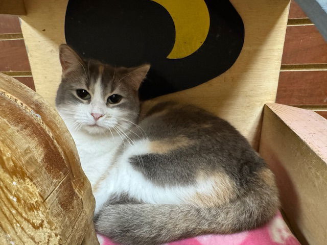 Mama