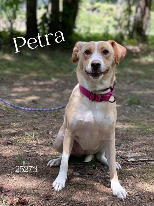 Petra