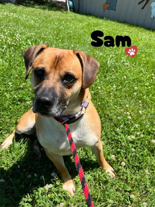 Sam