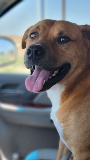 Axel