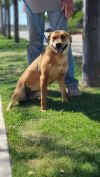Nelly photo 2