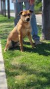 Nelly photo 3
